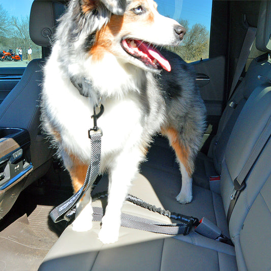 u.Do: FreeStride™ Car Safety Travel Dog Leash
