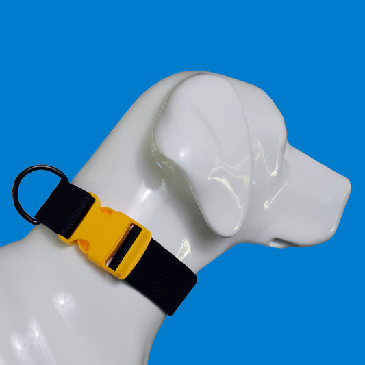 u.Do: PowerStride™ Standard Dog Collar
