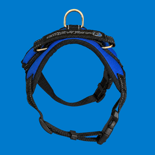 u.Do: FreeStride™ Comfort Dog Harness