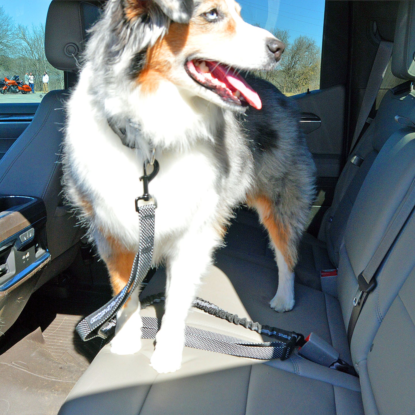 u.Do: FreeStride™ Car Safety Travel Dog Leash