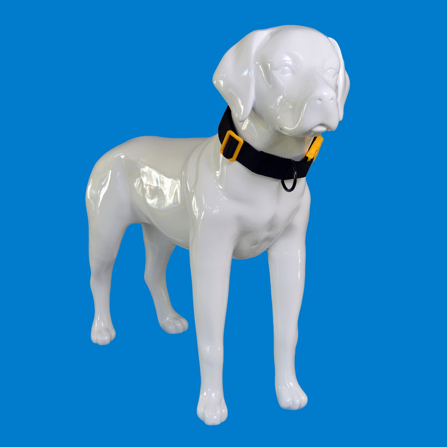 u.Do: PowerStride™ Standard Dog Collar